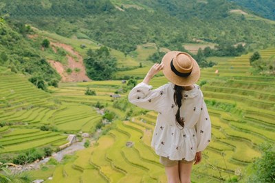 Tour Mù Cang Chải mùa lúa chín 2N1Đ