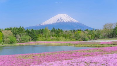 Tour Nhật Bản: Hà Nội - Osaka - Kyoto - Phú Sỹ - Tokyo 6N5Đ (Lễ Quốc Khánh)