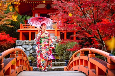 Tour Nhật Bản: Hà Nội - Osaka - Kyoto - Phú Sỹ - Tokyo 6N5Đ (31/10)