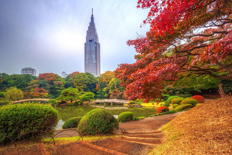 Tour du lịch Nhật Bản 6N5Đ