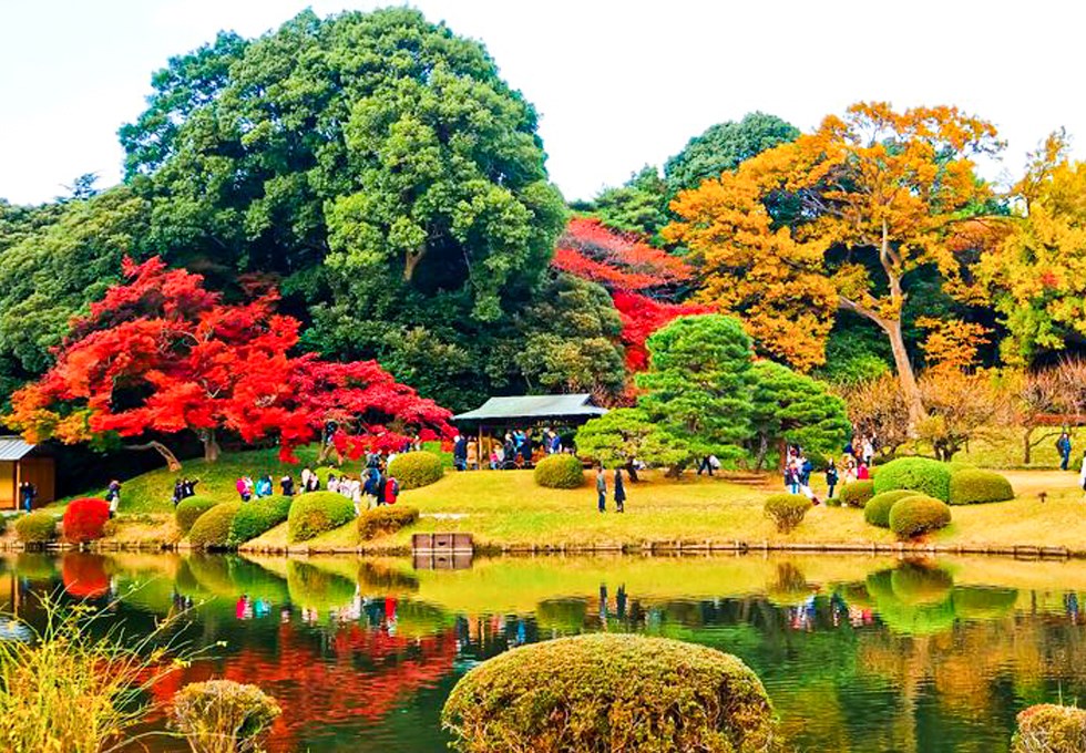 Tour du lịch Nhật Bản 6N5Đ