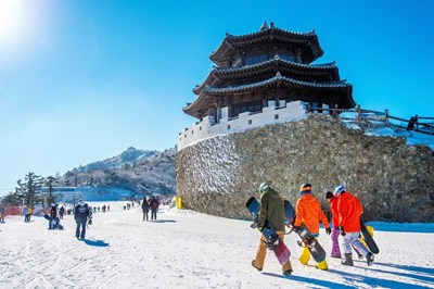 Tour Hàn Quốc mùa đông: Seoul - Trượt tuyết Elysian Gangchon - Lotte World 6N5Đ