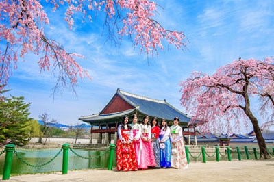 Tour Hàn Quốc Mùa Hoa Anh Đào: Seoul - Đảo Nami - Lotte World - Hanok Bukchon - Yeouido Park 6N5Đ