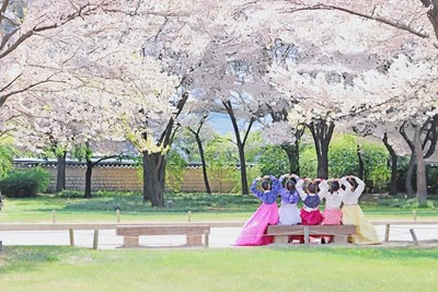 Tour Hàn Quốc NO SHOPPING: Seoul - Starfiled Suwon - Everland - Namsan - Eunpyeong hanok 6N5Đ 