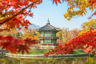 Tour Hàn Quốc Mùa Thu: Seoul - Đảo Nami - Everland - Làng Cổ - Tháp Namsan - Starfield - Wolmido