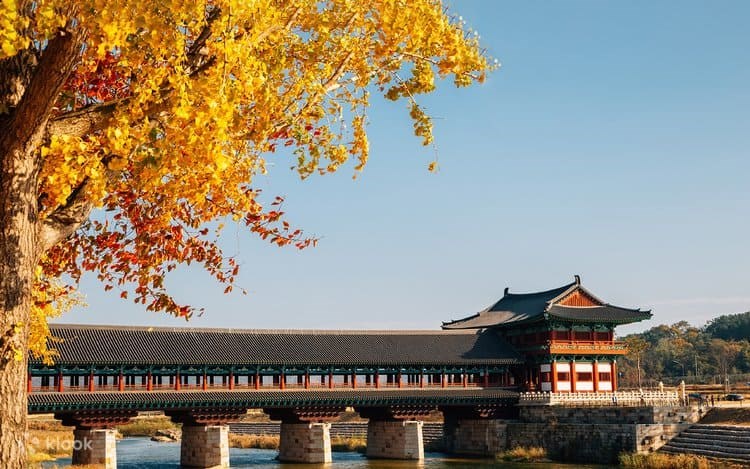 Cầu Woljeonggyo