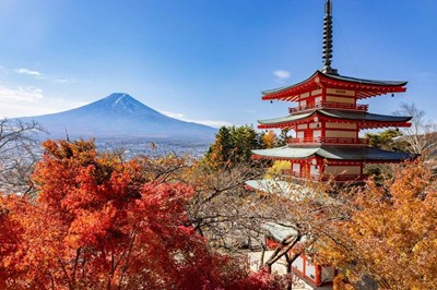 Tour Nhật Bản mùa thu NO SHOP VIP : TOKYO - FUJI - KYOTO - OSAKA 6N5Đ