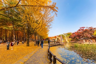 Tour Hàn Quốc: Nami – Changdeokgung – Starfield Suwon – Namsan – Seoul Grand Park - Mùa Thu