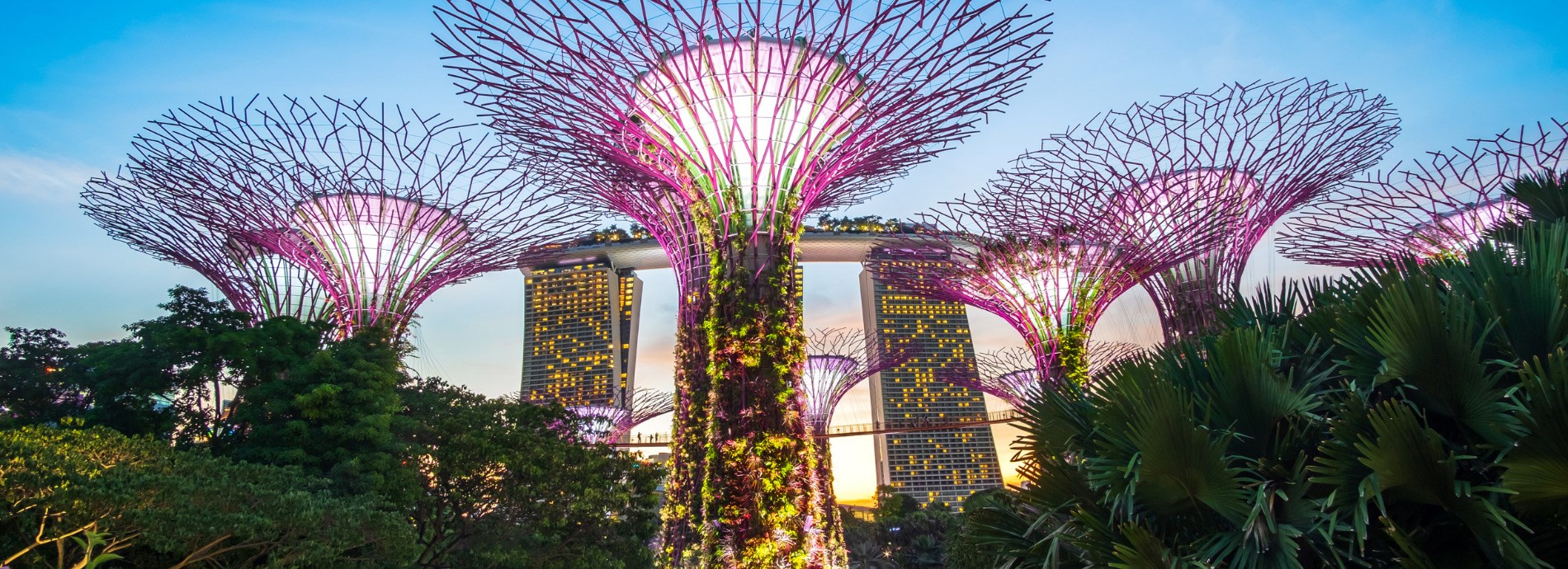 Du lịch thả ga - Không lo về giá cùng Nam A Travel 