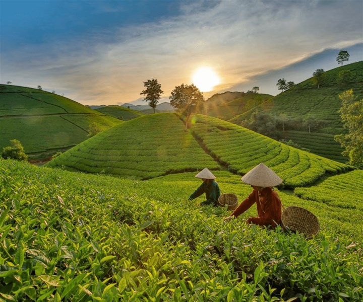 Mộc Châu - Mai Châu
