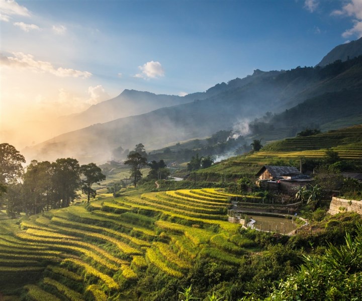 Sapa