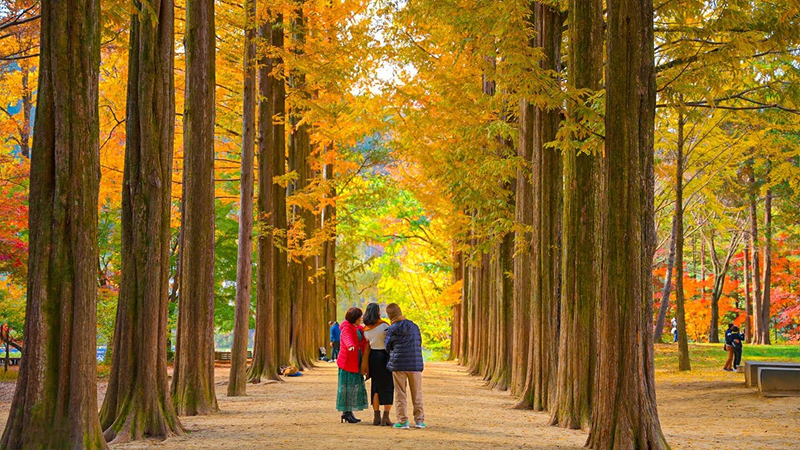 Tour Hàn Quốc Mùa Thu: Seoul - Đảo Nami - Everland - Làng Cổ - Tháp Namsan - Starfield - Wolmido