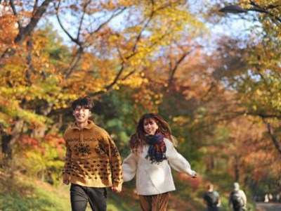 Tour Hàn Quốc: Busan - BeachTrain - Gamcheon - Seoul - Gyeongbokung - Nami - Namsan -  Mùa Thu