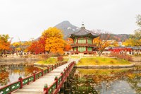 Tour Hàn Quốc: Busan - BeachTrain - Gamcheon - Seoul - Gyeongbokung - Nami - Namsan -  Mùa Thu