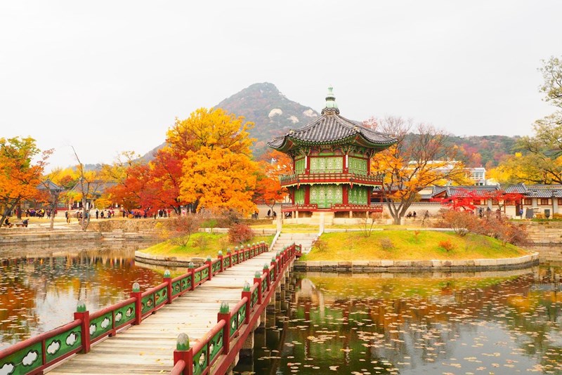 Tour Hàn Quốc: Busan - BeachTrain - Gamcheon - Seoul - Gyeongbokung - Nami - Namsan -  Mùa Thu