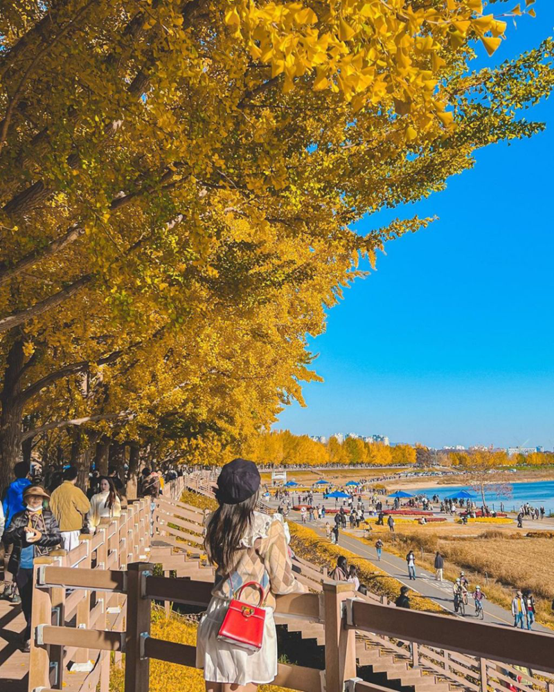Tour Hàn Quốc: Busan - BeachTrain - Gamcheon - Seoul - Gyeongbokung - Nami - Namsan -  Mùa Thu
