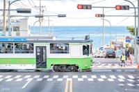 Tour Hàn Quốc: Busan - BeachTrain - Gamcheon - Seoul - Gyeongbokung - Nami - Namsan  - Mùa Thu