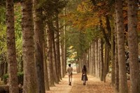 Tour Hàn Quốc: Busan - BeachTrain - Gamcheon - Seoul - Gyeongbokung - Nami - Namsan  - Mùa Thu