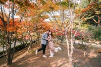 Tour Hàn Quốc: Busan - BeachTrain - Gamcheon - Seoul - Gyeongbokung - Nami - Namsan  - Mùa Thu
