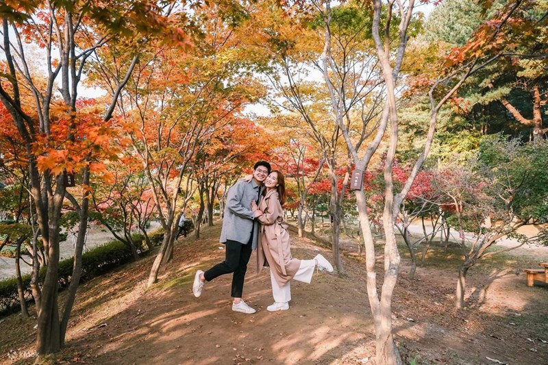 Tour Hàn Quốc: Busan - BeachTrain - Gamcheon - Seoul - Gyeongbokung - Nami - Namsan  - Mùa Thu