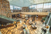 Tour Hàn Quốc: Seoul - Đảo Nami - Everland - Làng Cổ - Tháp Namsan - Starfield - Myeodong - Mùa Thu 