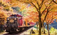 Tour Nhật Bản mùa thu NO SHOP VIP : TOKYO - FUJI - KYOTO - OSAKA 6N5Đ