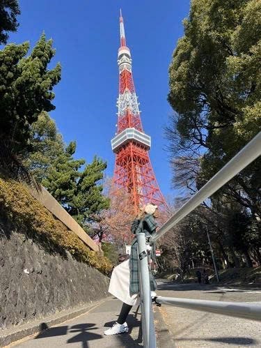 Tour Nhật Bản mùa thu NO SHOP VIP : TOKYO - FUJI - KYOTO - OSAKA 6N5Đ
