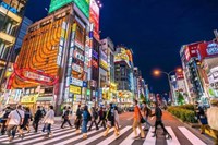 Tour Nhật Bản mùa thu NO SHOP VIP : TOKYO - FUJI - KYOTO - OSAKA 6N5Đ