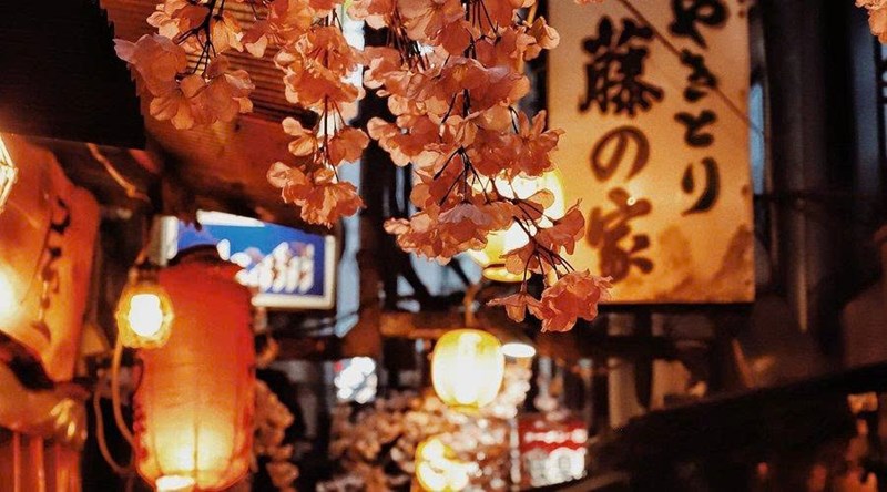 Tour Nhật Bản mùa thu NO SHOP VIP : TOKYO - FUJI - KYOTO - OSAKA 6N5Đ