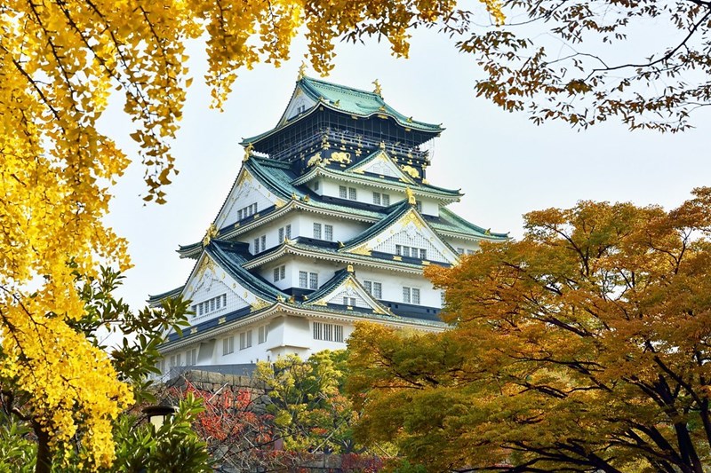 Tour Nhật Bản mùa thu NO SHOP ĐẶC BIỆT : OSAKA - KYOTO - FUJI - TOKYO 6N5Đ