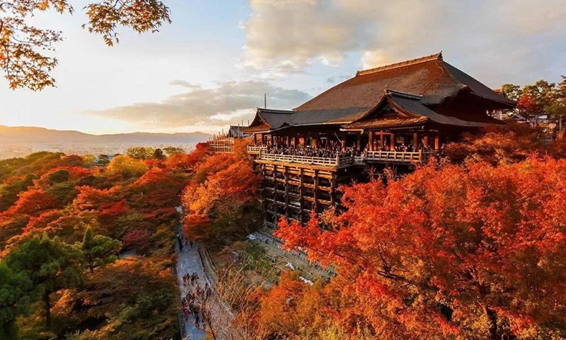 Tour Nhật Bản mùa thu NO SHOP ĐẶC BIỆT : OSAKA - KYOTO - FUJI - TOKYO 6N5Đ