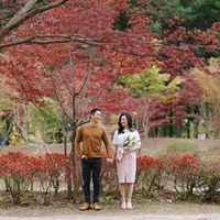 Tour Hàn Quốc: Nami – Changdeokgung – Starfield Suwon – Namsan – Seoul Grand Park - Mùa Thu
