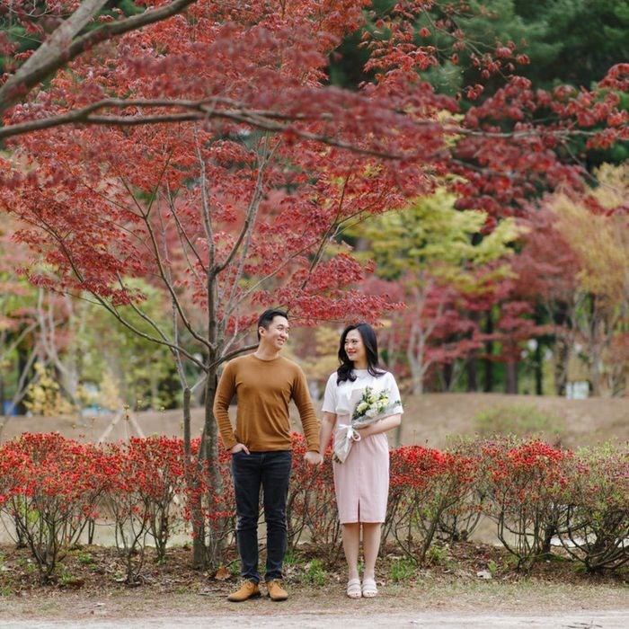 Tour Hàn Quốc: Nami – Changdeokgung – Starfield Suwon – Namsan – Seoul Grand Park - Mùa Thu
