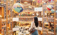 Tour Hàn Quốc: Nami – Changdeokgung – Starfield Suwon – Namsan – Seoul Grand Park - Mùa Thu