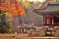 Tour Hàn Quốc: Nami – Changdeokgung – Starfield Suwon – Namsan – Seoul Grand Park - Mùa Thu
