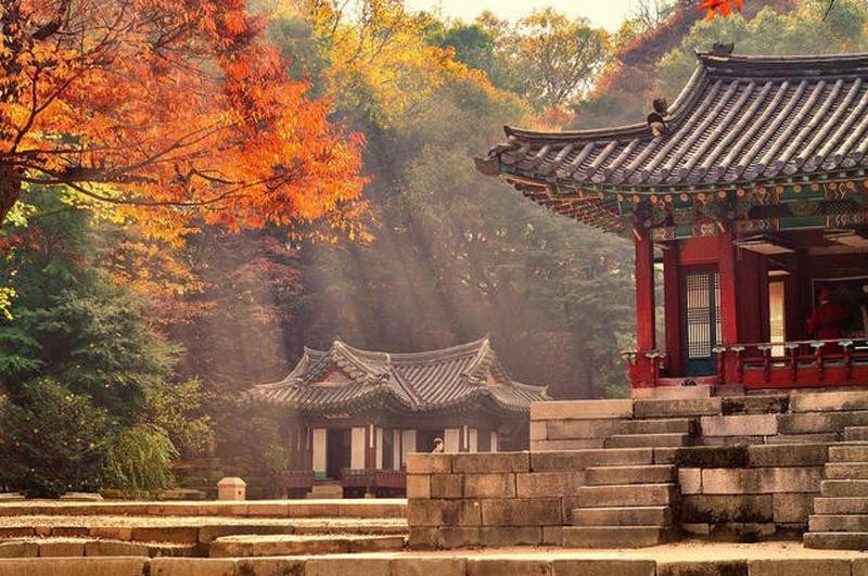Tour Hàn Quốc: Nami – Changdeokgung – Starfield Suwon – Namsan – Seoul Grand Park - Mùa Thu