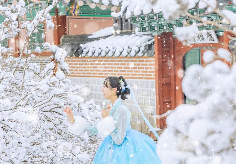 Tour HÀN QUỐC - Seoul – Namsan – Lotte World – Starfield – Trượt tuyết – Sauna - Mùa Đông