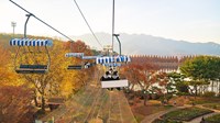 Tour Hàn Quốc: Nami – Seoul – Changdeokgung – Namsan – Hongdae – Starfield Suwon – Wolmido - Mùa Thu
