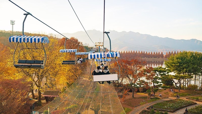 Tour Hàn Quốc: Nami – Seoul – Changdeokgung – Namsan – Hongdae – Starfield Suwon – Wolmido - Mùa Thu