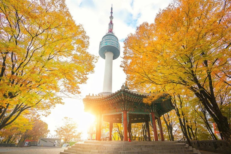 Tour Hàn Quốc: Nami – Seoul – Changdeokgung – Namsan – Hongdae – Starfield Suwon – Wolmido - Mùa Thu