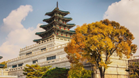 Tour Hàn Quốc: Nami – Seoul – Changdeokgung – Namsan – Hongdae – Starfield Suwon – Wolmido - Mùa Thu