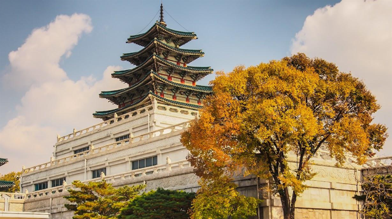 Tour Hàn Quốc: Nami – Seoul – Changdeokgung – Namsan – Hongdae – Starfield Suwon – Wolmido - Mùa Thu