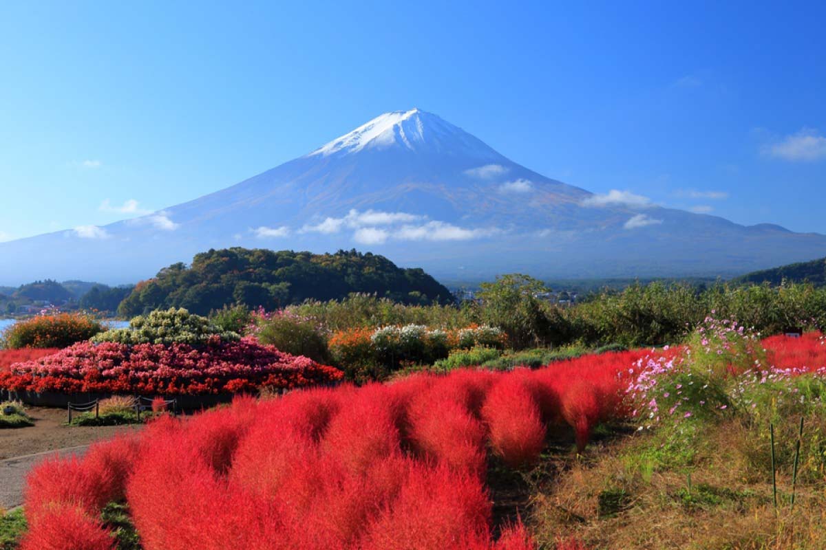 Kawaguchiko Oishi Park