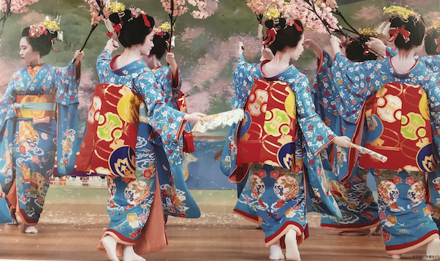 Kyoto Geisha Shows 