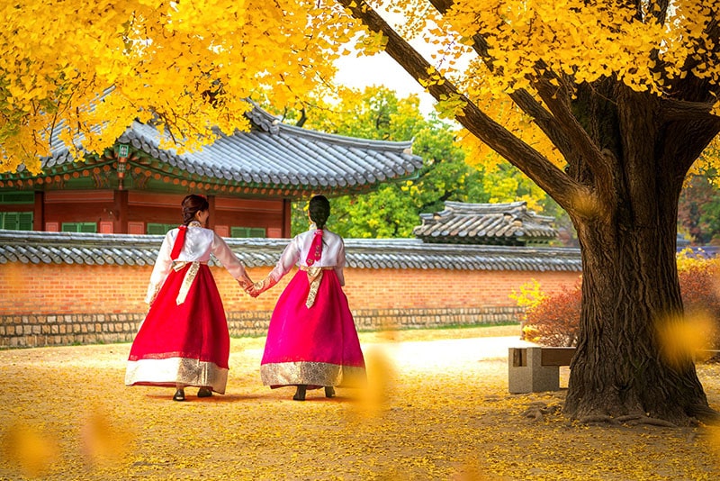 Cảnh sắc mùa thu tuyệt đẹp ở cung điện Gyeongbokgung