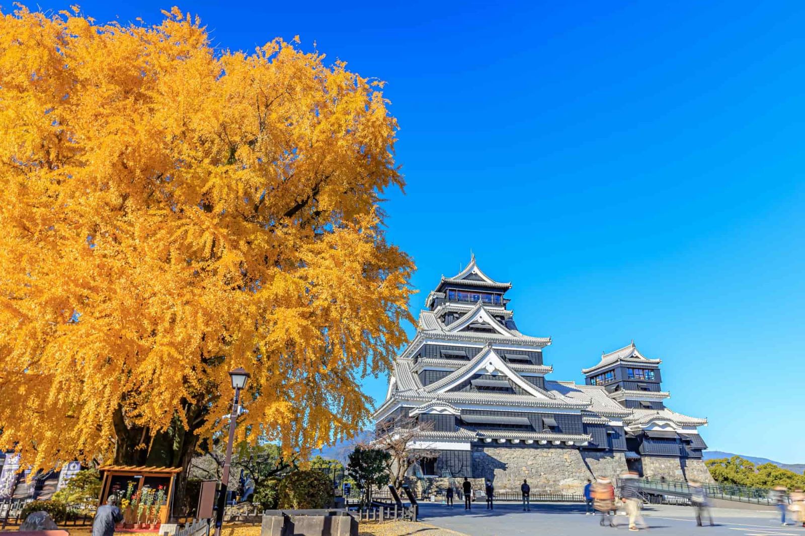 Lâu đài Kumamoto cổ kính nằm trên hòn Kyushu