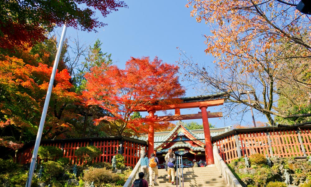 Ngắm nhìn đại lộ Meiji Jingu Gaien trong khung cảnh mùa thu