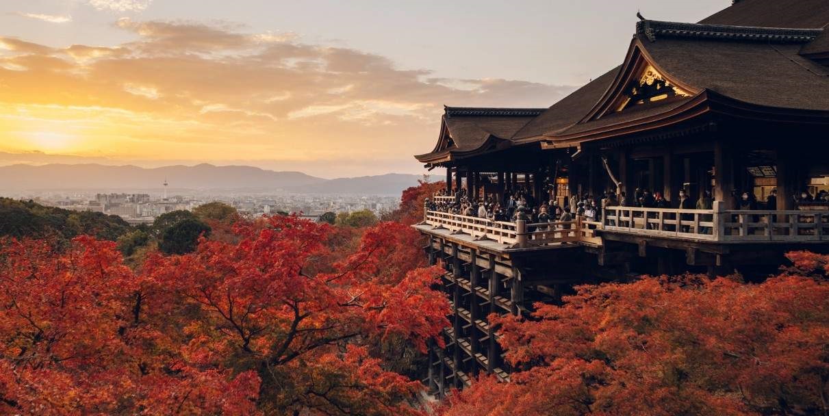 Hàng loạt loại cây đua nhau chuyển màu vào mùa thu tại Osaka