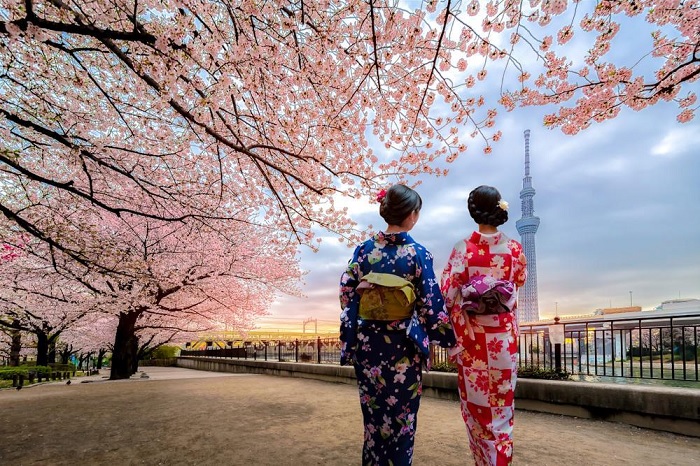 Rực rỡ sắc màu hoa anh đào tại Tokyo Skytree