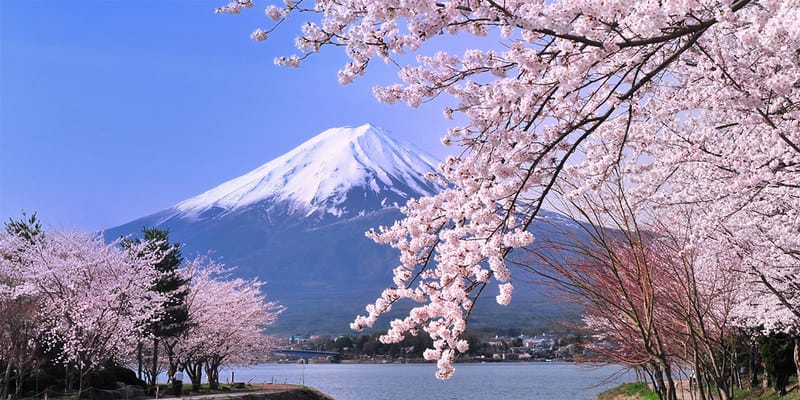 Núi Phú Sĩ - Tour Du Lịch Osaka 6N5Đ